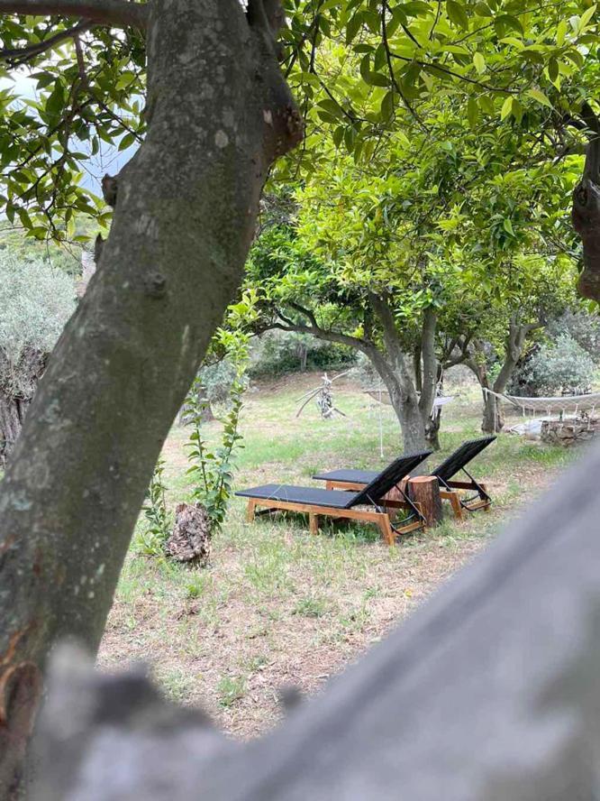 Lithea Villas And Studios By The Sea Agios Petros  외부 사진