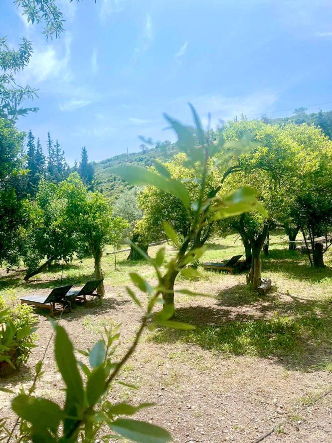 Lithea Villas And Studios By The Sea Agios Petros  외부 사진