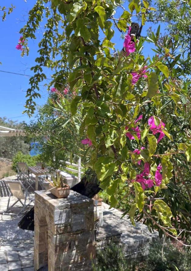 Lithea Villas And Studios By The Sea Agios Petros  외부 사진