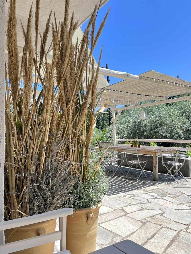 Lithea Villas And Studios By The Sea Agios Petros  외부 사진
