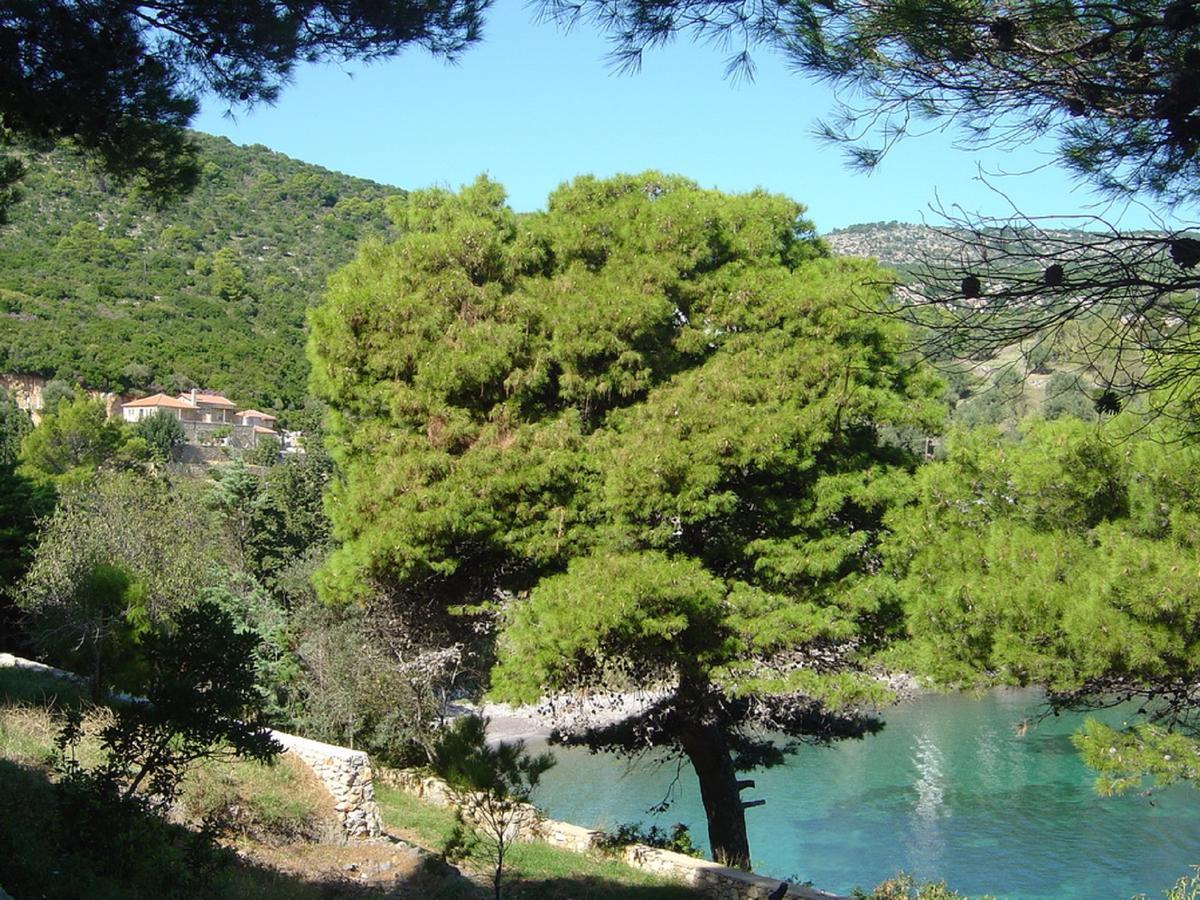 Lithea Villas And Studios By The Sea Agios Petros  외부 사진